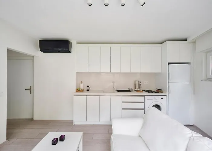 Apartment Modern Bright Cozy 1bed1bath Hidden Gem! #79