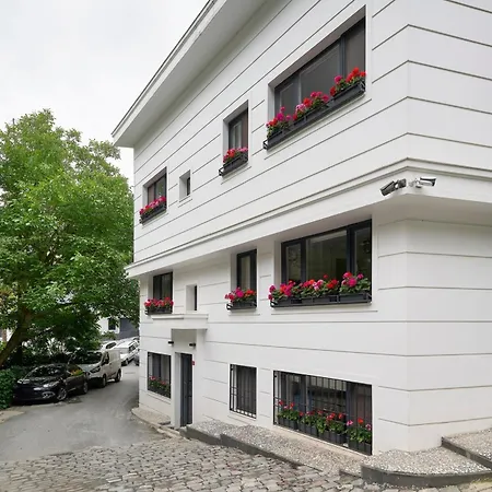 Modern Bright Cozy 1bed1bath Hidden Gem! #79